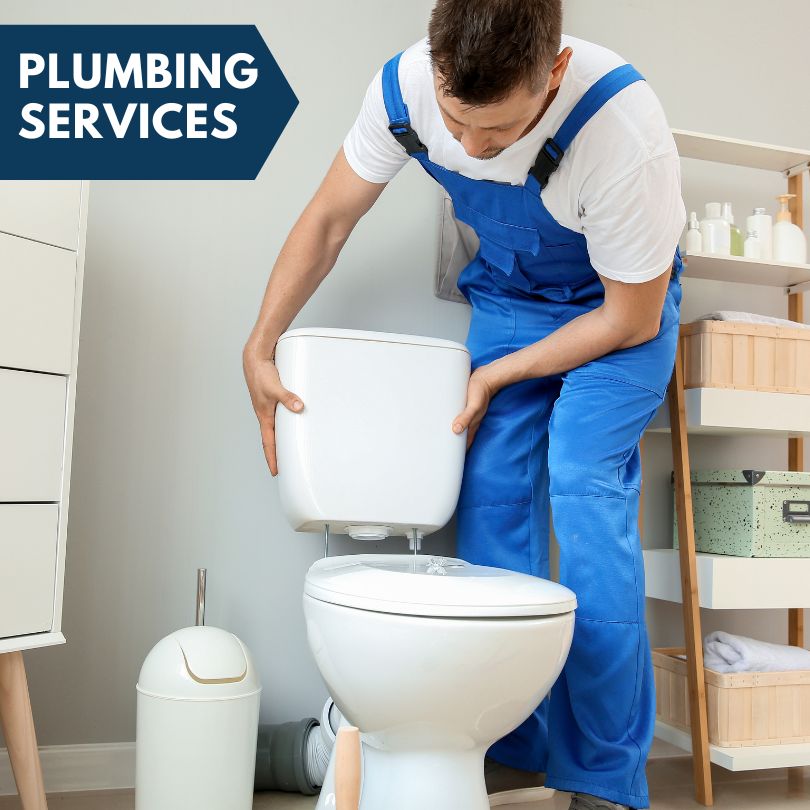 Plumbing Company in Eastlake Weir, FL